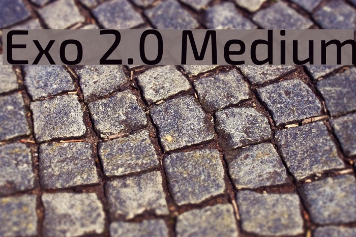 Exo 2.0 Medium Font examples
