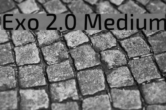 Exo 2.0 Medium Example 2
