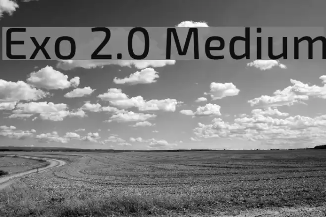 Exo 2.0 Medium Example 3
