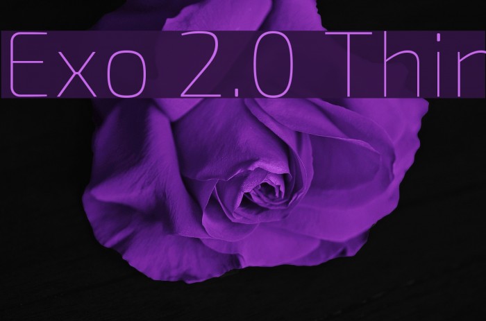 Exo 2.0 Thin Font examples