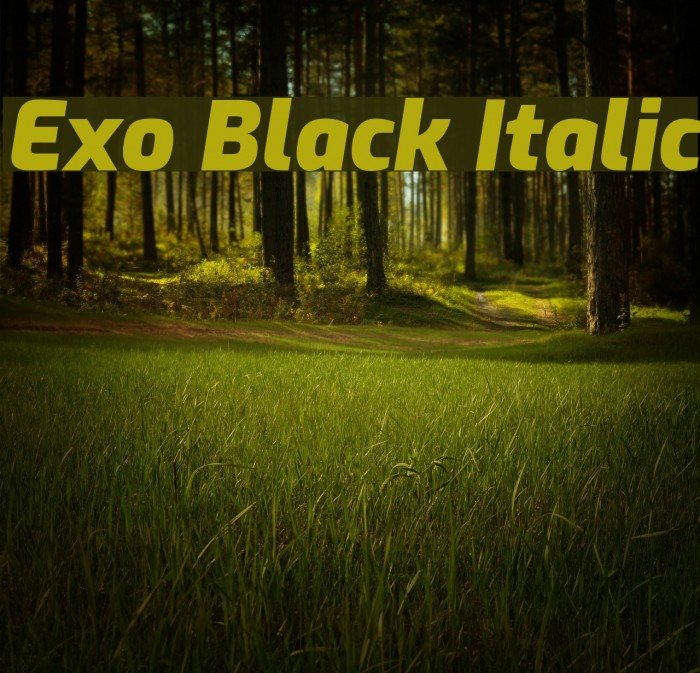 Exo Black Italic Font examples