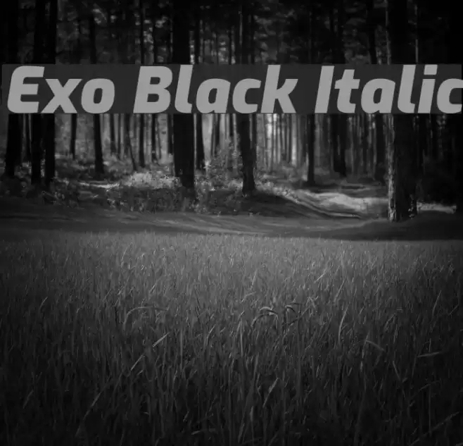 Exo Black Italic Fonte examples