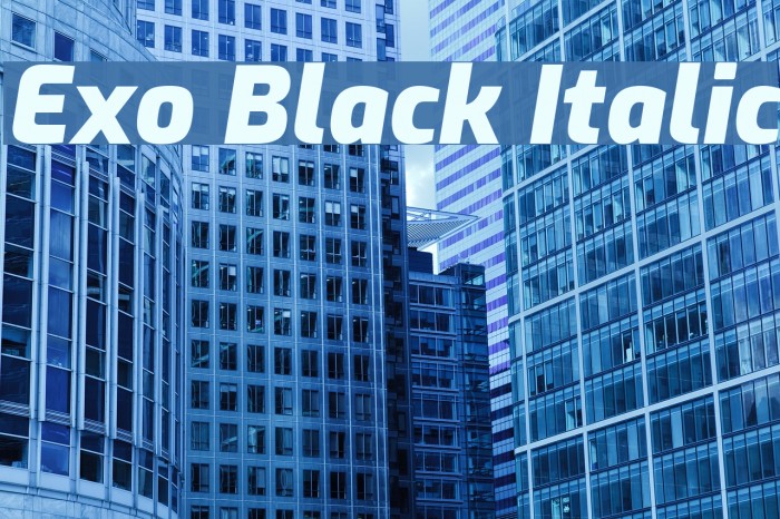 Exo Black Italic Font examples