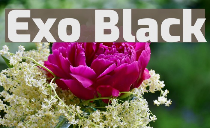 Exo Black Font examples