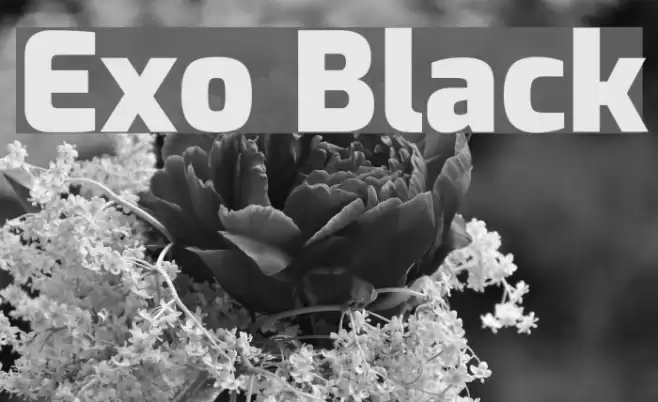 Exo Black Font examples