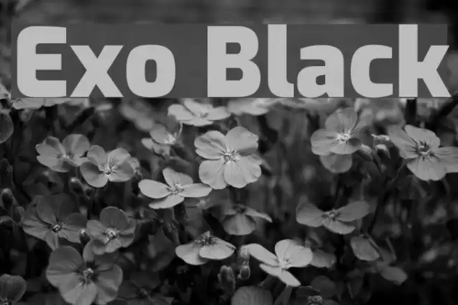 Exo Black Font examples