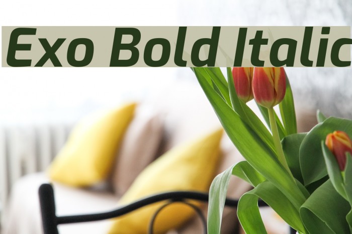 Exo Bold Italic Font examples