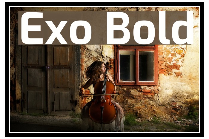 Exo Bold Шрифта examples
