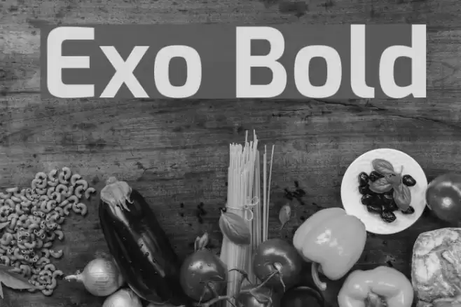 Exo Bold Font examples