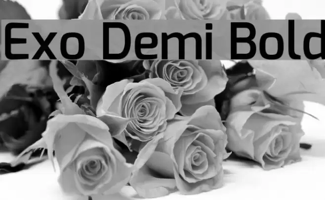Exo Demi Bold Font examples