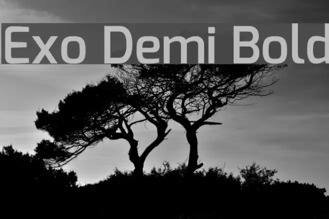 Exo Demi Bold Font examples
