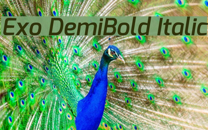 Exo DemiBold Italic Шрифта examples