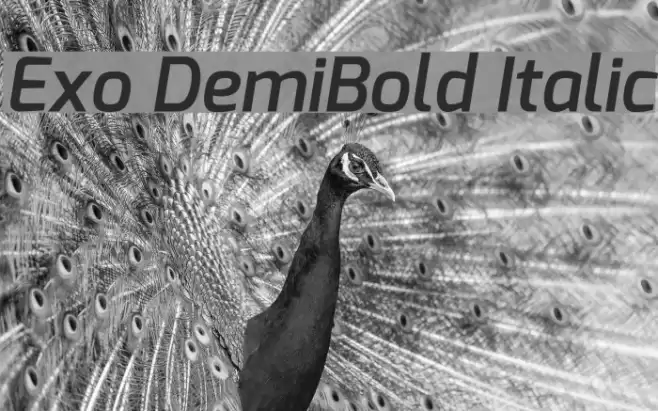 Exo DemiBold Italic フォント examples