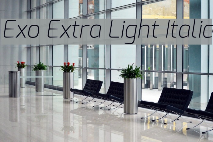 Exo Extra Light Italic Font examples