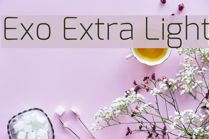 Exo Extra Light Font examples