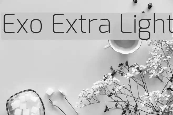 Exo Extra Light Example 3