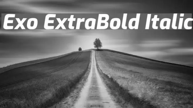 Exo ExtraBold Italic Font examples