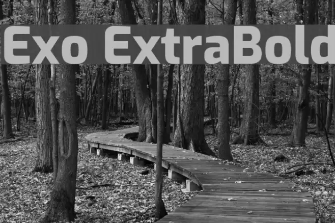 Exo ExtraBold Font examples