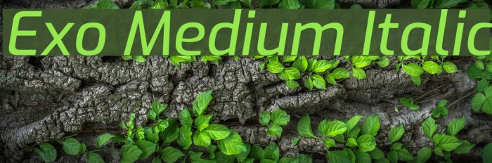 Exo Medium Italic Шрифта examples