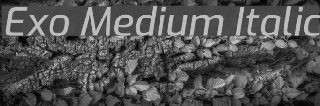 Exo Medium Italic Шрифта examples