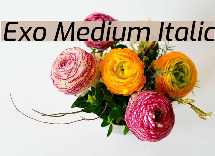 Exo Medium Italic Шрифта examples