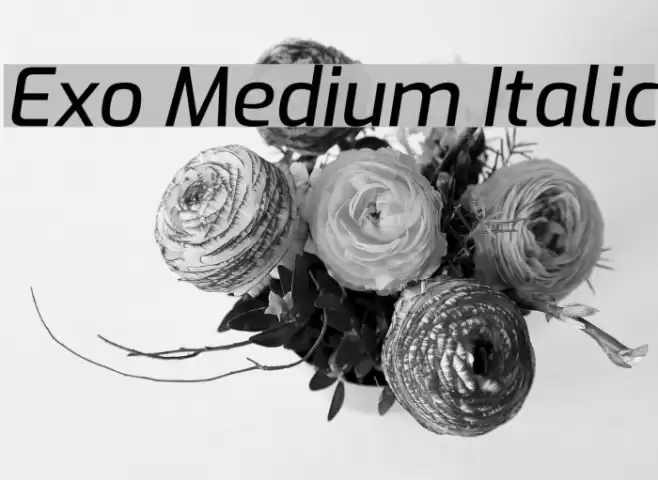 Exo Medium Italic Шрифта examples