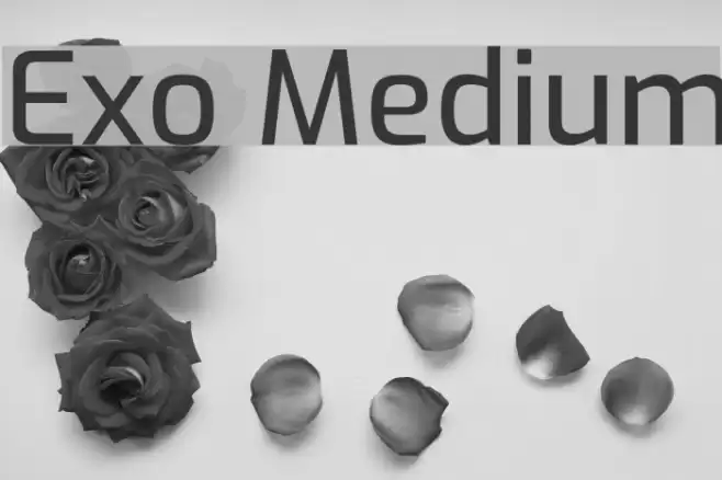 Exo Medium Font examples