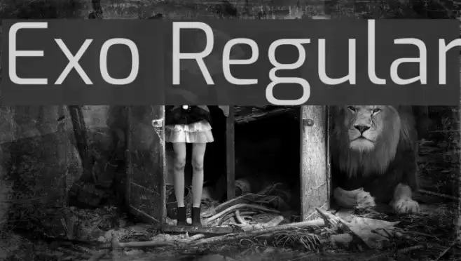Exo Regular Example 1