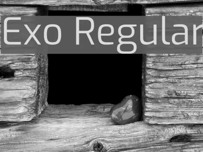 Exo Regular Example 3