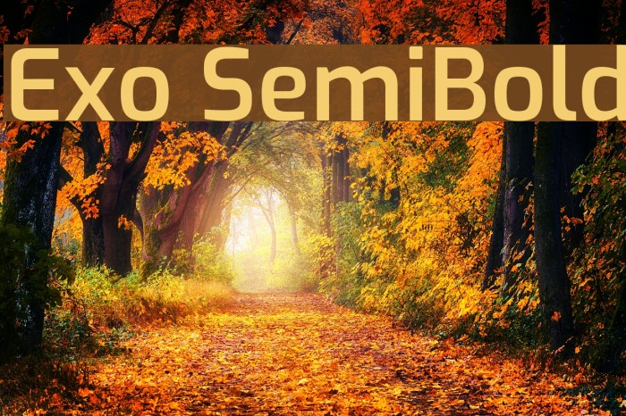 Exo SemiBold Font examples