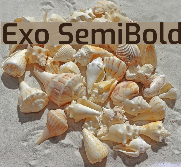 Exo SemiBold Font examples