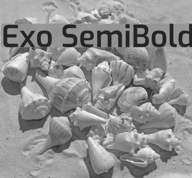 Exo SemiBold Example 2