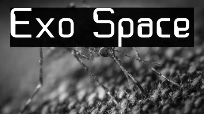 Exo Space Example 2