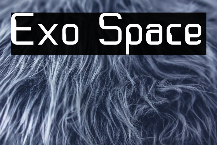 Exo Space Example 3