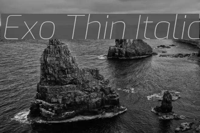 Exo Thin Italic Example 3