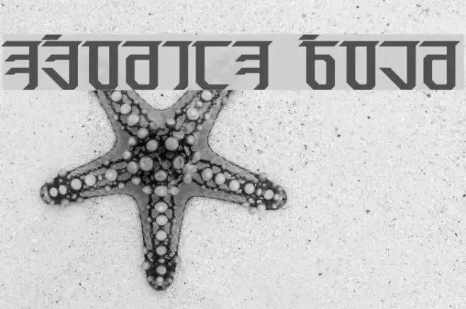 Exodite Bold Example 1