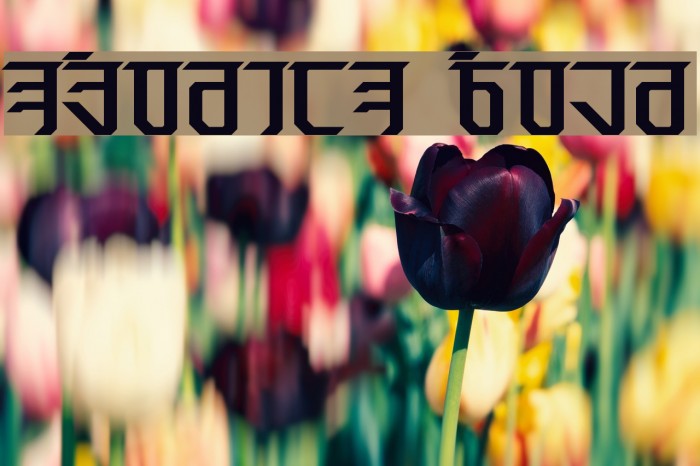 Exodite Bold Font examples