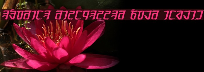 Exodite Distressed Bold Italic Example 2