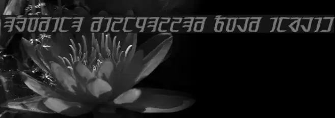 Exodite Distressed Bold Italic Font examples