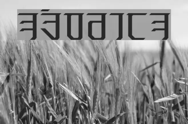 Exodite Font examples