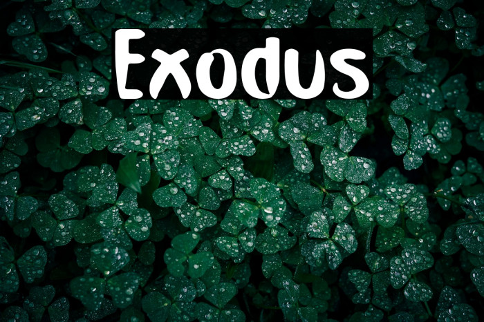 Exodus Example 1