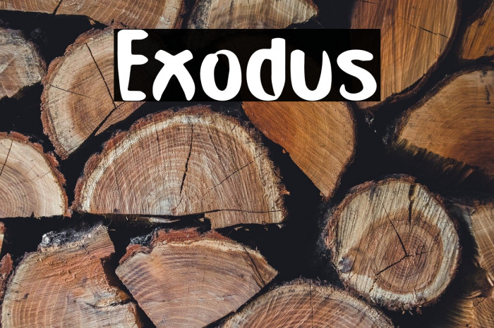 Exodus Example 2