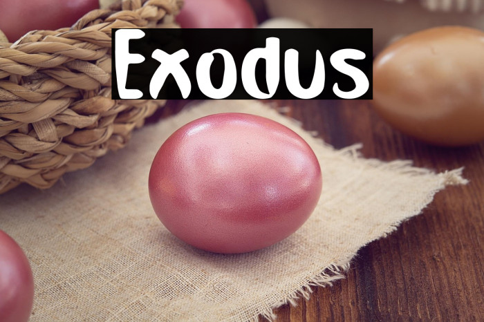 Exodus Example 3