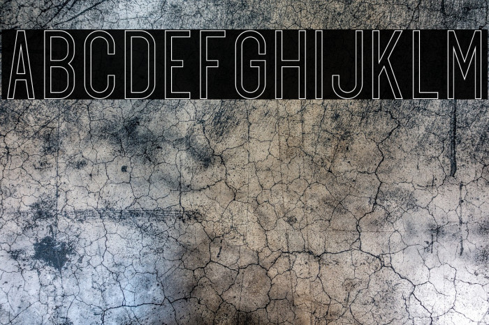 Exon outline Example 2