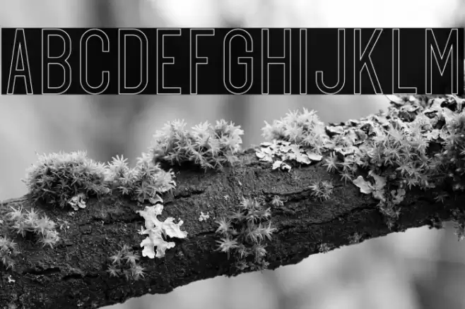 Exon outline Font examples