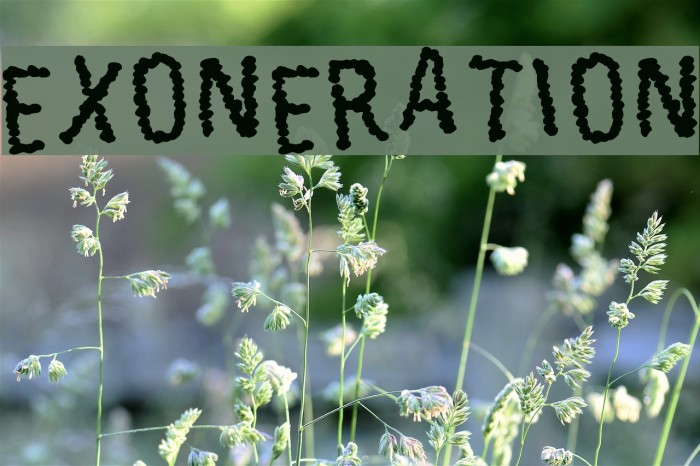 Exoneration Font examples