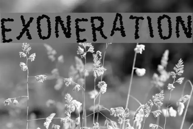 Exoneration Example 1