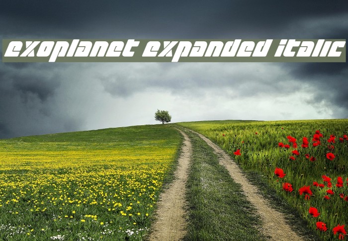 Exoplanet Expanded Italic Font examples