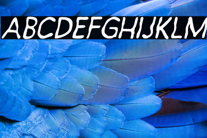 Exornight Regular Example 3