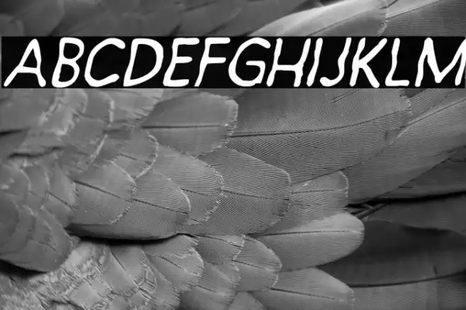 Exornight Regular Example 3